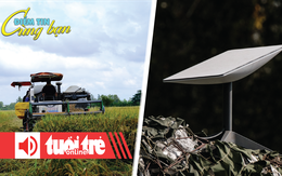 Điểm tin 18h: Nông dân buồn rầu vì giá lúa; Internet vệ tinh Starlink gặp sự cố