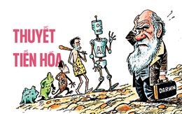 Thuyết tiến hóa không còn đúng nữa rồi...