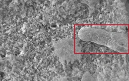 Tạo ra loại xi măng mới vừa xây nhà, vừa có thể thắp sáng hàng chục bóng đèn