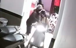 Cô gái bị sàm sỡ, cướp túi xách khi đang đi xe vào chung cư mini