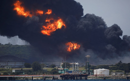 Than, dầu, khí đốt đầu độc con người từ trong bụng mẹ đến lúc chết