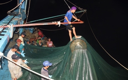 Ngư dân biển Tây Nam nói gì về lệnh cấm 12 loài hải sản vào thị trường Mỹ?