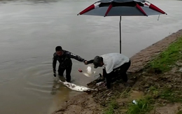 Cần thủ 'mất cả chì lẫn chài' khi chụp hình tự sướng với cá khủng