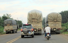 Tài xế và bản án lương tâm