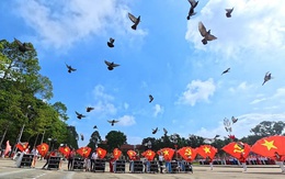 'Khối diễu hành' đặc biệt: 800 chú chim bồ câu mang thông điệp hòa bình tại đại lễ A80