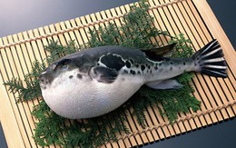 Tử vong do ăn loại cá độc hơn xyanua gấp 275 lần