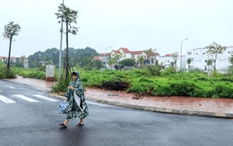 Đất đấu giá ngoại thành hơn trăm triệu/m² bỏ hoang, đánh thuế được không?