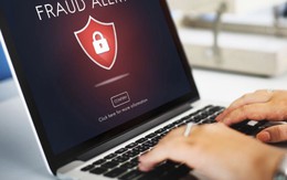 Hơn 1 tỉ tài khoản trực tuyến bị tấn công mỗi tháng để lừa đảo, giả mạo danh tính