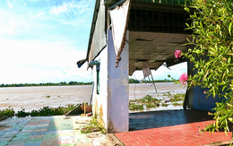 Sạt lở bờ sông Tiền khiến 2 căn nhà sụp xuống sông