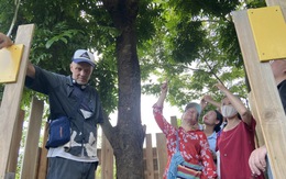 Lắng nghe tác phẩm nghệ thuật ‘giải mã’ tiếng chim hót