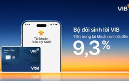 Bộ đôi Sinh Lời VIB tối ưu dòng tiền đến 9,3%