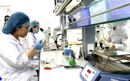 Các đại học Việt Nam dẫn đầu công bố quốc tế: Trường nào tăng mạnh nhất nửa đầu 2025?