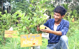 Chàng trai bỏ phố về làm nông nghiệp hữu cơ ở Ka Tư