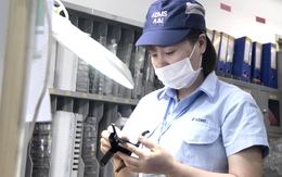 Thị trường việc làm tăng trưởng vững vàng