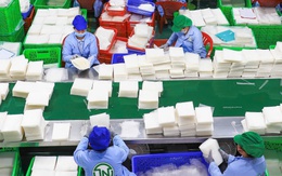 Nhà sản xuất bánh tráng được công nhận Doanh nghiệp khoa học và công nghệ