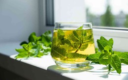 Bạc hà có thể thanh lọc gan chỉ trong vài ngày?