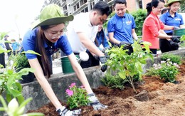 Hành động nhỏ, thay đổi lớn cho môi trường