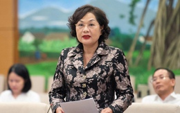 Thống đốc Nguyễn Thị Hồng: Có thời điểm bảo hiểm tiền gửi gần 100.000 tỉ nhưng không sử dụng được