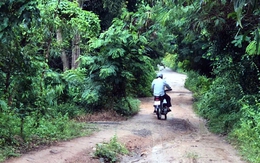 Điều tra nghi án con sát hại mẹ ruột, chém chị gái trọng thương ở TP.HCM