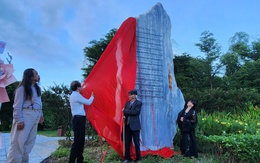 Bài hát ‘Nối vòng tay lớn’ của Trịnh Công Sơn được in lên bia đá