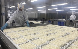 Cần Thơ nhiều khả năng lần đầu tiên dẫn đầu về xuất khẩu tôm