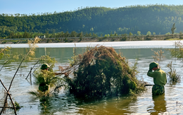 Phá bỏ, tiêu hủy hàng ngàn dụng cụ bẫy bắt chim trời mùa di cư