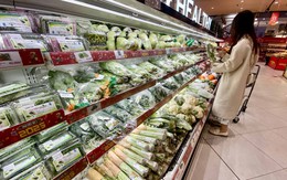 'Choáng' với con số diện tích rau trồng theo tiêu chuẩn VietGAP ở Việt Nam