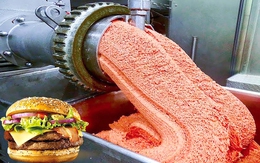 Thương hiệu - những bài học bảo vệ uy tín - Kỳ 4: McDonald's thay thịt bò bằng giun đất?