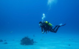 Hai thợ lặn tại Quảng Trị gặp nạn, một tử vong, một đang nguy kịch