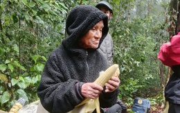 Tìm thấy cụ ông 78 tuổi lạc 7 ngày trong rừng sâu ở Đà Lạt