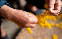 Hồi sinh truyền thống giữa thời đại công nghệ