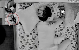 Cô gái phản xạ cực nhanh khi suýt bị rắn bò lên giường cắn