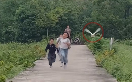 Vịt tung chiêu 'bay thần chưởng' thi chạy marathon