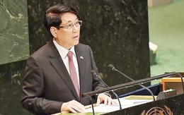 Việt Nam thể hiện trách nhiệm với thế giới