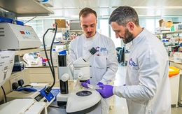 Mỹ siết visa H-1B, vô tình giúp Trung Quốc, Anh, Canada 'hút' nhân tài