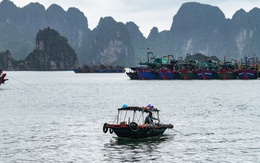 Bão Ragasa suy yếu thành áp thấp nhiệt đới, chiều nay Bắc Bộ có mưa to