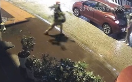 Giữa đêm lái ô tô đi trộm cây kiểng