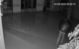 Chùa mất chuông, đăng clip lên mạng mong kẻ trộm 'sớm thức tỉnh'