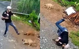 Thanh niên ngã cắm đầu vì trêu chó