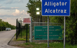 Xác thực tin 2/3 người nhập cư 'biến mất' khỏi 'nhà tù cá sấu' ở Florida