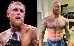 YouTuber Jake Paul bị 'Người khỏe nhất thế giới' thách đấu