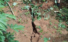 Xuất hiện vết nứt dài gần 200m trên đồi, Quảng Ngãi khẩn trương sơ tán dân