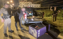 Bứng luôn cây ATM vì tức giận chuyện vợ chồng