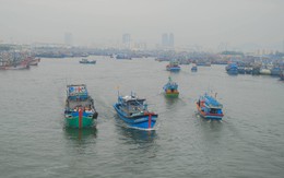 Tàu cá Gia Lai với 8 ngư dân mất liên lạc ngoài khơi