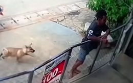 Thấy thanh niên to khỏe, chú chó không dám tặng '3 mũi 900.000 đồng'