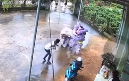 Đội múa lân hú hồn bỏ chạy khi bị nam thanh niên hù