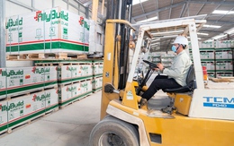 AllyBuild từng bước ghi dấu ấn với triết lý 'Xanh vỏ - đỏ lòng'