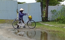 Đà Nẵng lập tổ công tác xử lý vướng mắc các dự án của Bách Đạt An, Dana Homeland, Chí Thành