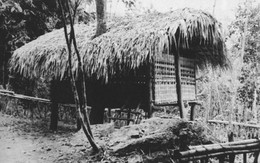 Mật mã Ba Đình - Kỳ 2: Ông Ké ở rừng Tân Trào