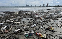 Bãi biển Đà Nẵng ngổn ngang rác sau bão số 10